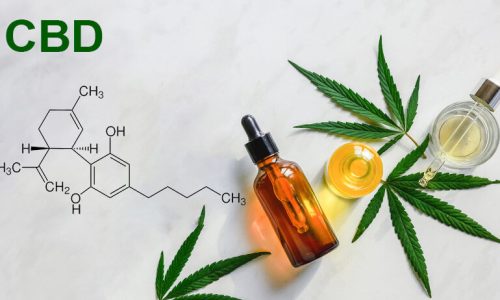 cannameds-o-que-canabidiol-cbd